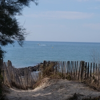 Photo de France - La randonnée de la Tamarissière